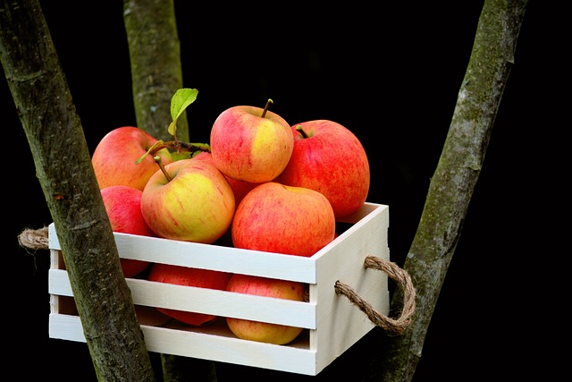 Sådan bygger du din egen æblekasse og undgår madspild