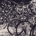 Den grønne familie: Sådan vælger i bæredygtige cykler til store og små
