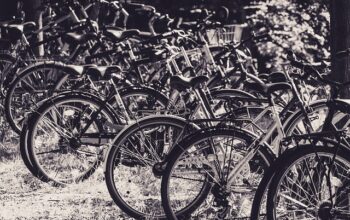 Den grønne familie: Sådan vælger i bæredygtige cykler til store og små