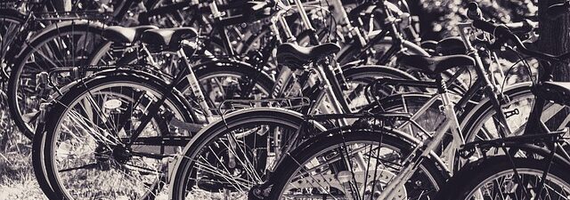 Den grønne familie: Sådan vælger i bæredygtige cykler til store og små