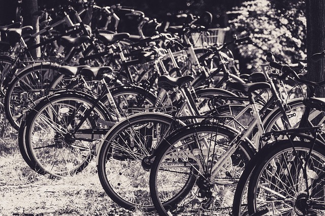Den grønne familie: Sådan vælger i bæredygtige cykler til store og små