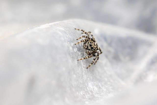 Sådan skaber du din egen bug-out taske til nødsituationer